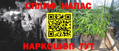 стафф Краснодар